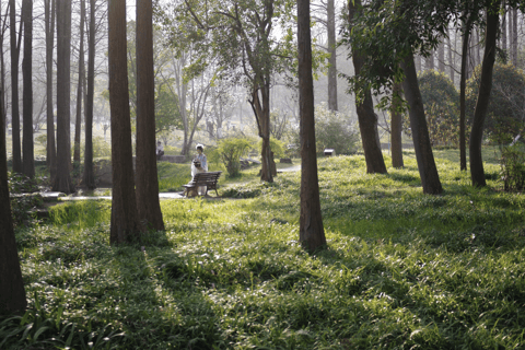 Hangzhou West Lake Bike Tour: Temple, Tea Field, Sunset Ride