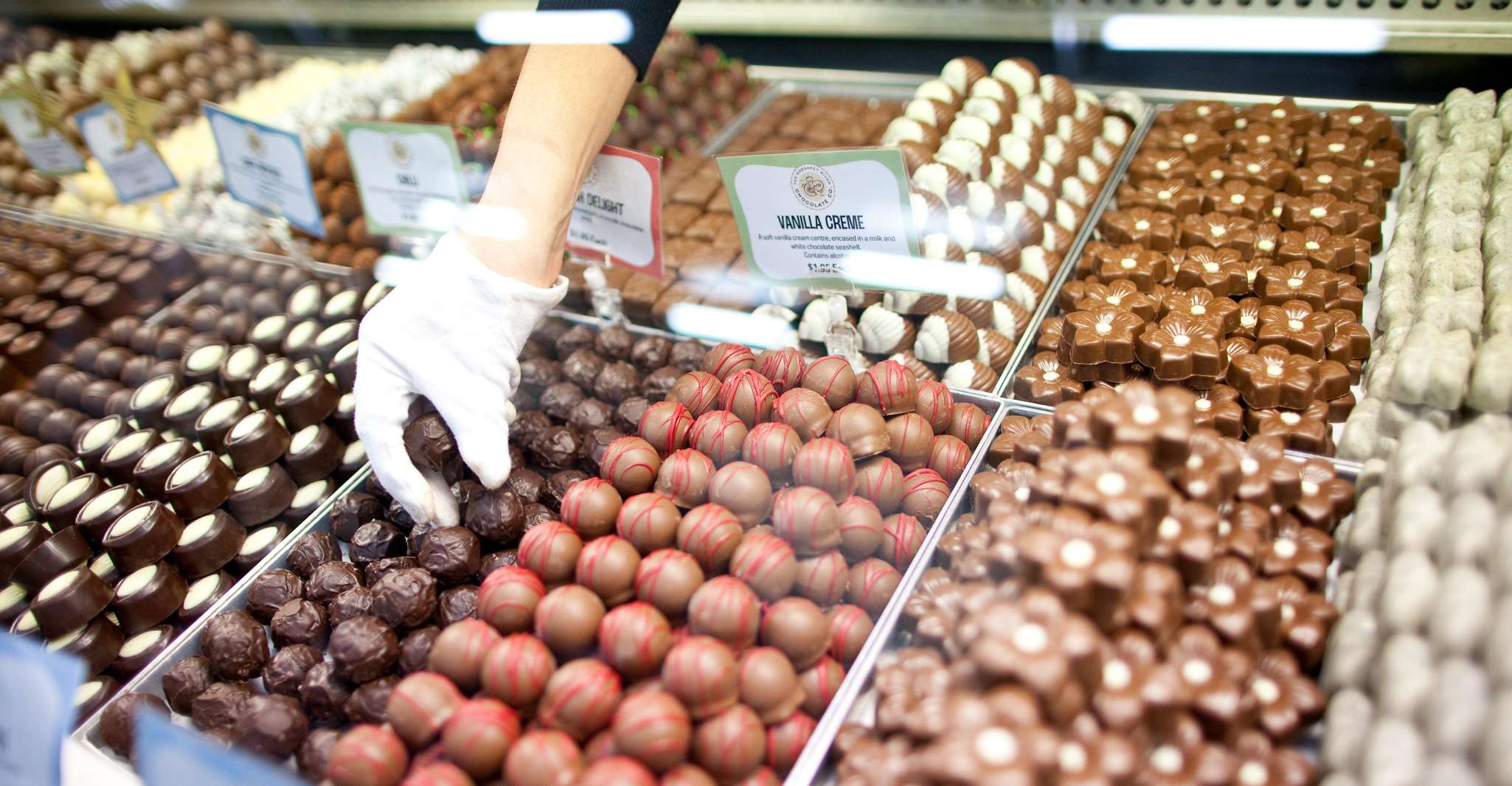 Melbourne: Yarra Valley Wine Bubbles & Kangaroos Tour photo 6