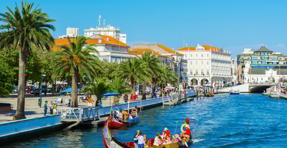 Aveiro: Halbtagestour ab Porto mit optionaler Bootsfahrt