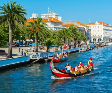 Aveiro: Halvedaagse tour vanuit Porto met cruise