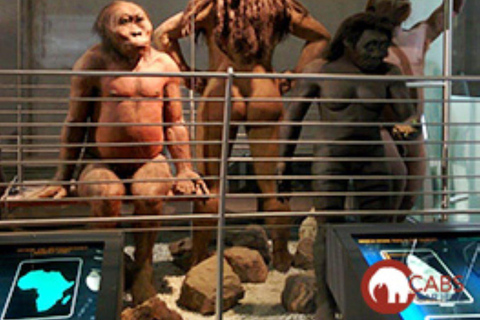 Johannesburg: Cradle of Humankind Day Tour mit Abholung vom Hotel