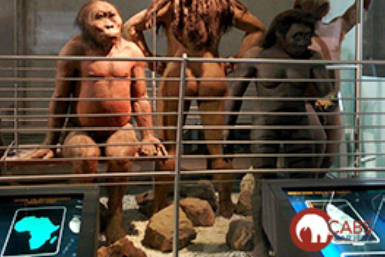 Johannesburg: Cradle of Humankind Day Tour mit Abholung vom Hotel