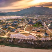 From Busan: 3-Day Eastern Korea Tour with Seoul Drop-off