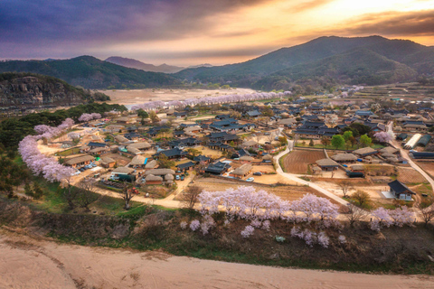 From Busan: 3-Day Eastern Korea Tour with Seoul Drop off