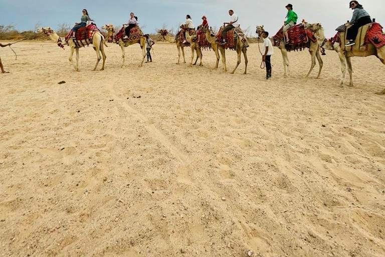 Hurghada: Camel Ride Vibes -The Ultimate Desert Experience 1-Hour Desert & Beach Camel Ride with Transfers