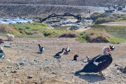 Middle of the Island: Off the beaten track Private Tour Fuerteventura: Betancuria & Puertito Los Molinos PrivateTour