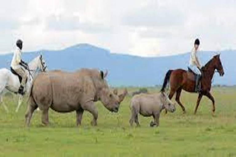 Nairobi: Ol Pejeta Conservancy en Mount Kenya Safari