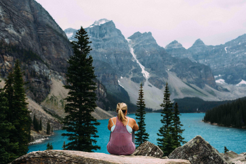 Z Banff: Transfer do Lake Louise i Moraine Lake.