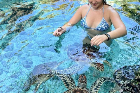 Zanzibar: Mnemba Snorkeling & Sea Turtle Swim Private Tour without hotel transfer