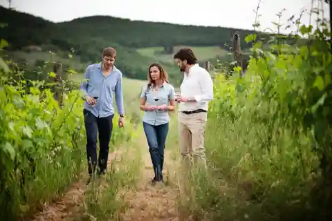 Montefioralle: Tour della cantina e degustazione di vini