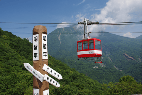 Desde Tokio: Excursión de 1 día a Nikko, Patrimonio Mundial de la UNESCORecogida en la estación de Shinjuku a las 8:30 AM