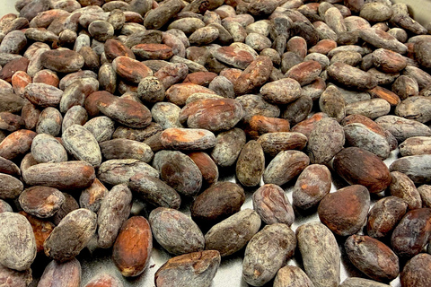 Chocolate Making Workshop, Bean to Bar Experience | Basel