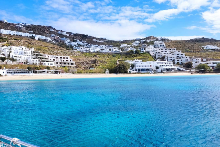 Mykonos: Delos and Rhenia Islands Cruise with Lunch