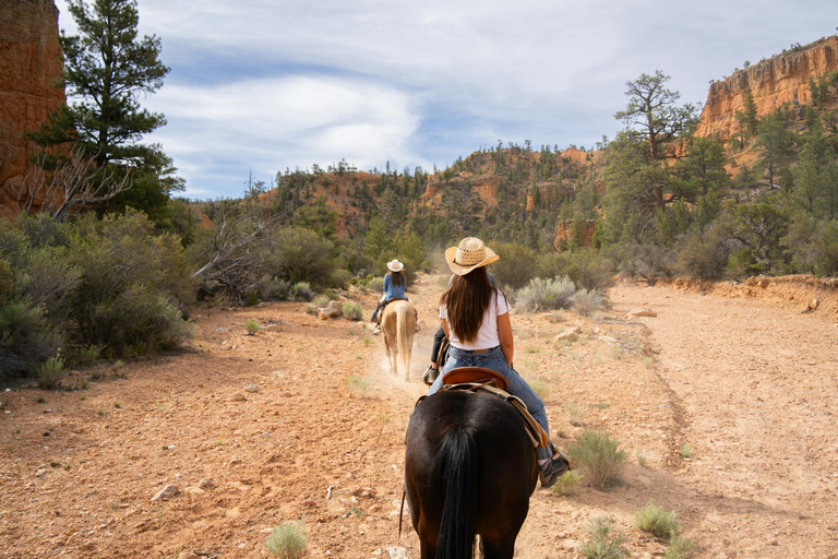 Cave Creek: Horse Ride Tour in National Forest & Desert 1-Hour Horse Ride Tour in National Forest & Desert