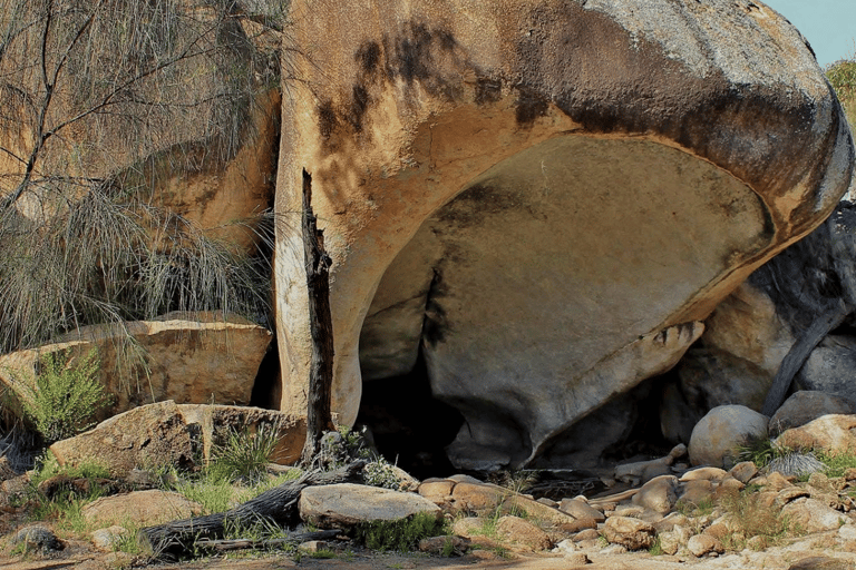 Perth: Wave Rock Scenic Flight and Half-Day Ground Tour