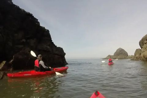 Brookings: Pacific Ocean Kayak Tour