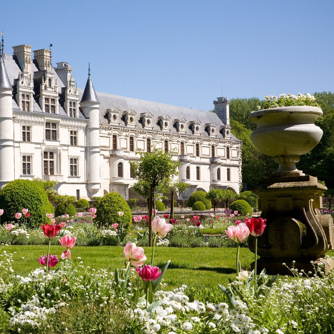Galerie média