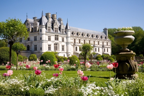 Depuis Paris : excursion dans les châteaux de la Loire