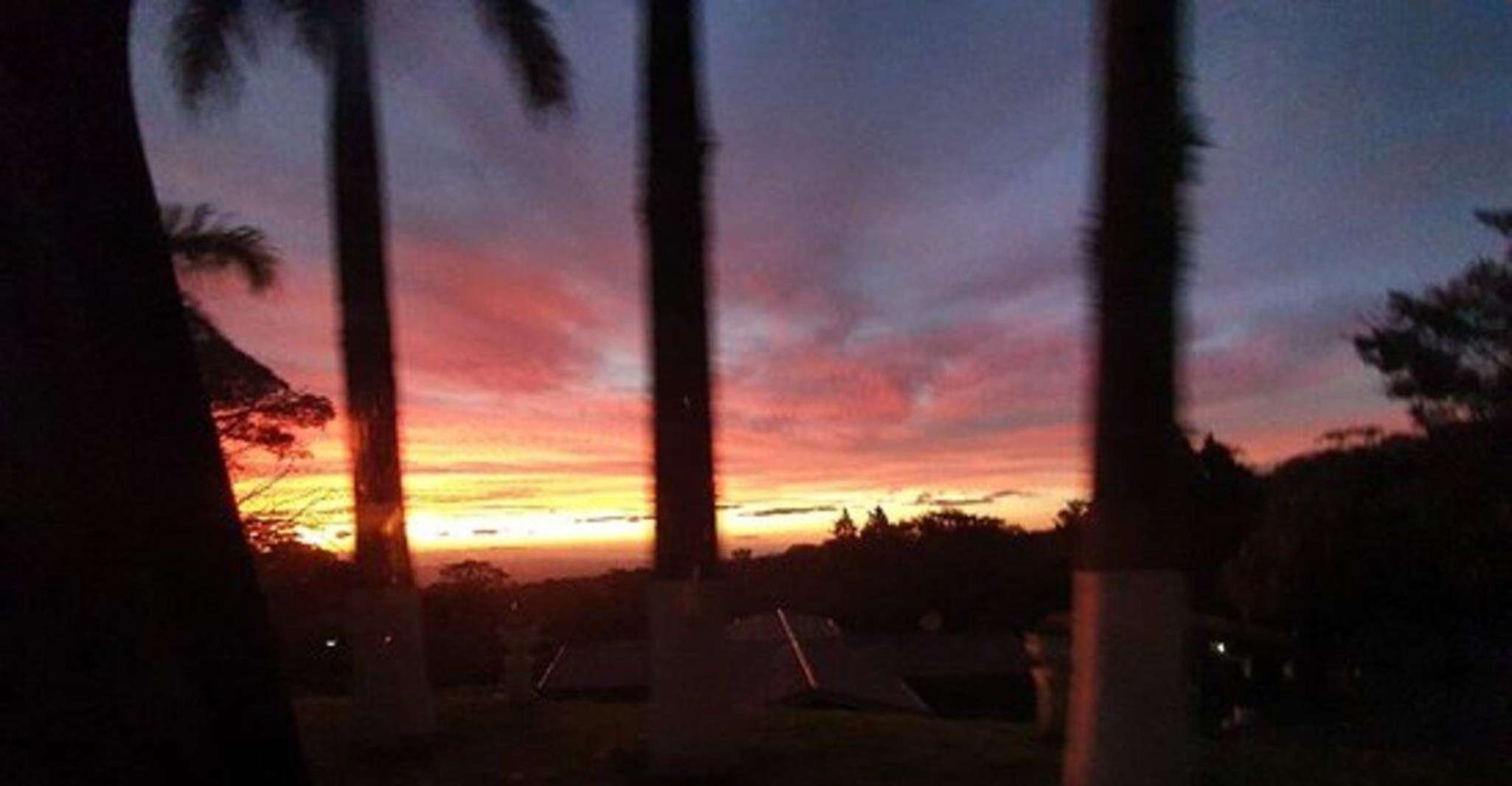 Sunset+Night Walk Tour in Monteverde - Housity
