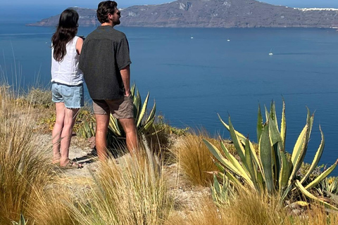 Santorini: Private 5-Hour Island Highlights Tour