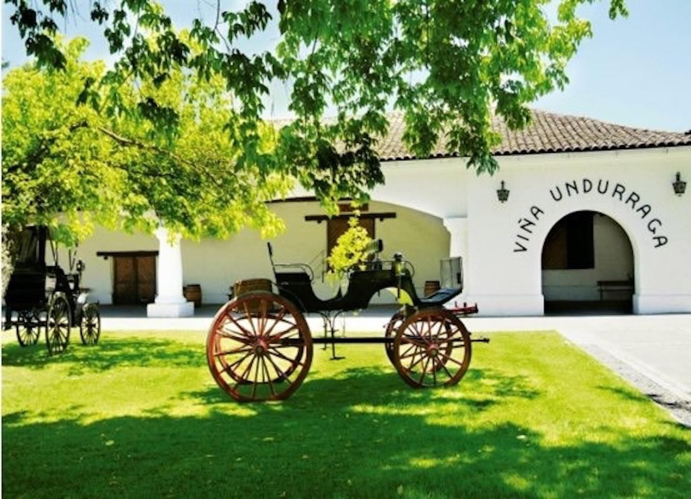 Undurraga Wein-Tour