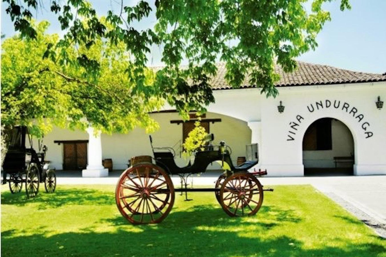 Visite des vignobles de l'Undurraga