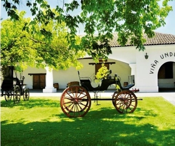 Undurraga Wine tour