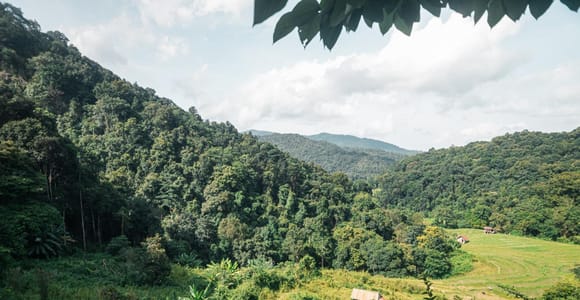 Chiang Mai: Pha Chor, Mae Ya & Pha Dok Siew Private Tour