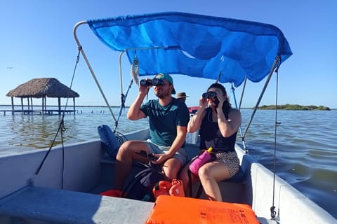 Isla Contoy: Snorkeling and nature, educational experience, and certified tour guide