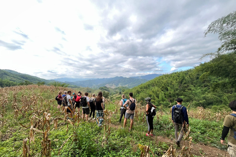 Chiang Rai: Jungle Adventure-Group Trekking & Bamboo Cooking