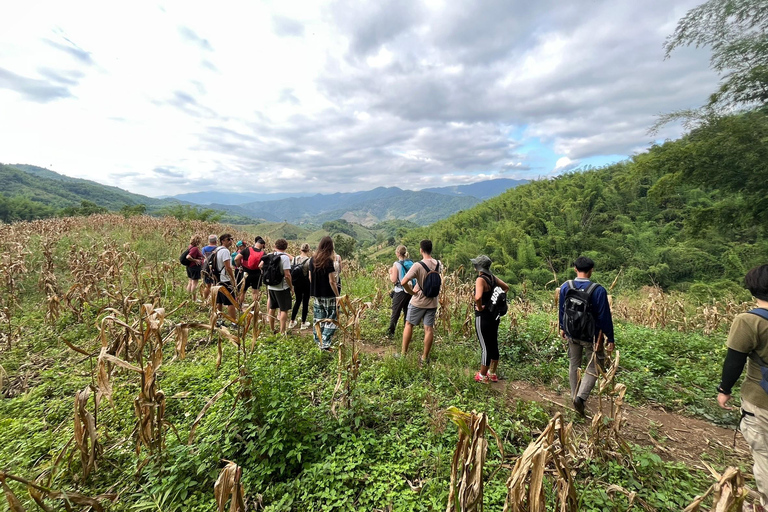 Chiang Rai: Jungle Adventure-Group Trekking & Bamboo Cooking