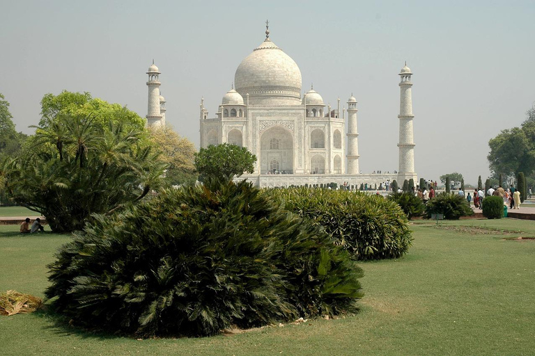 Saindo de Délhi: Passeio ao Taj Mahal ao nascer do sol e SOS Vida Selvagem com ElefantesMotorista + carro particular + guia de turismo