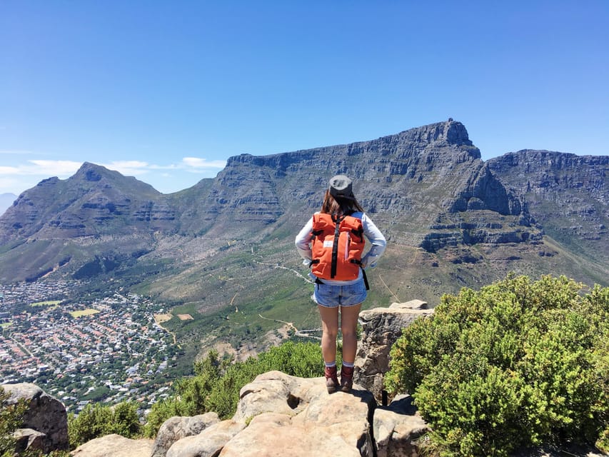 Table Mountain Cape Town City Half Day Guided Tour GetYourGuide