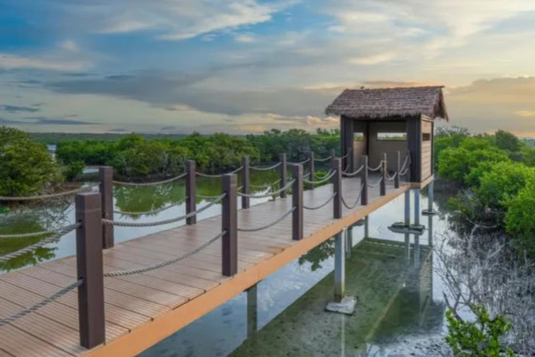 Doha: Nord- und Westküste von Katar Tagestour