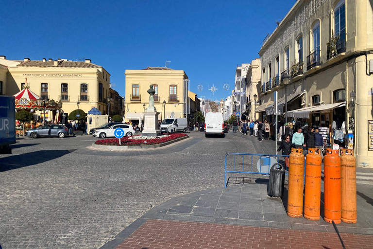 from Mijas, Malaga: Private tour Ronda incl. transfer, bullfighting arena and tapas