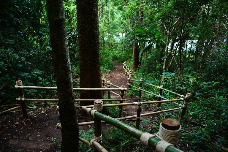 Randonnée dans le parc national de Doi Inthanon et randonnée sur le sentier de Pha Dok SiewVisite du parc national de Doi Inthanon et randonnée sur le sentier Pha Dok Siew