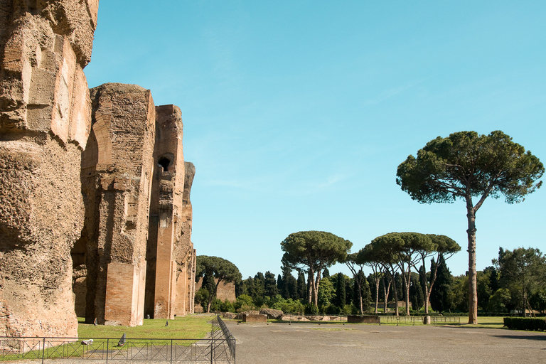 Terme di Caracalla Tour guidato privato e biglietti esclusiviRoma: tour privato delle Terme di Caracalla