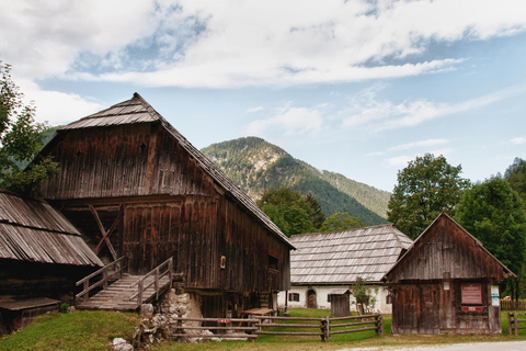 Bled: Triglav National Park E-Bike Tour