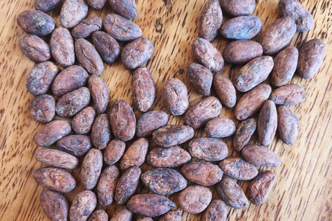 Cusco: Bean to Bar Chocolate Experience