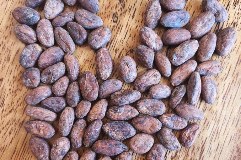 Cusco: Bean to Bar Chocolate Experience