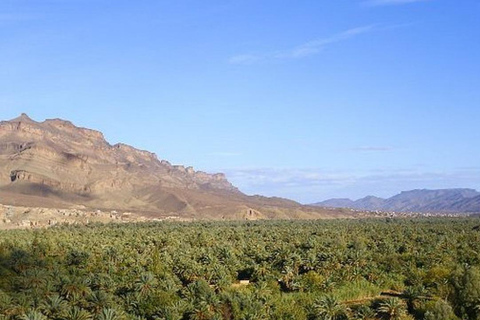 Marrakech: Excursión nocturna por el Sáhara a Zagora y Ait Ben Haddou