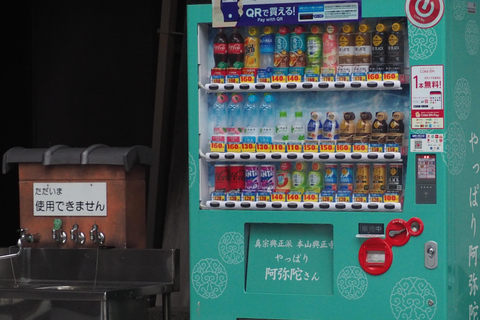 E-Bike Tour in Kyoto with Asuka, Japanese graduate student