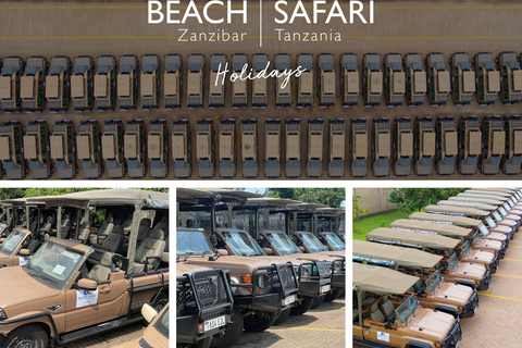 Vanuit Arusha: De 4-daagse safari-expeditie naar Tarangire &amp; Ndutu