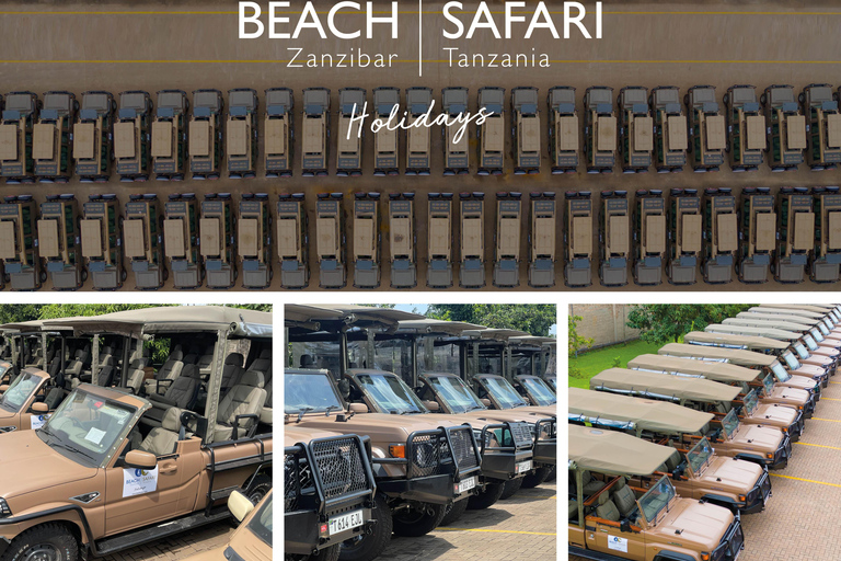 Vanuit Arusha: De 4-daagse safari-expeditie naar Tarangire &amp; Ndutu