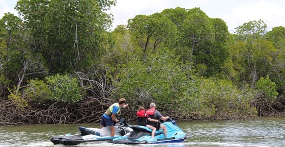 Cairns: 1-Hour Croc Spotting Jet Ski Tour