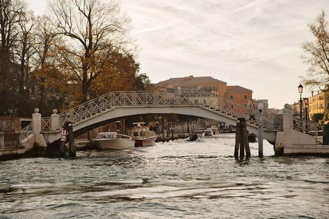 Venice: Exclusive Grand Canal and Secret Canals Boat Tour
