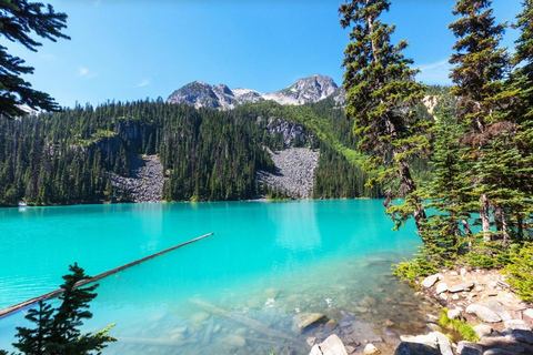 Squamish-Lillooet: Joffre Lakes Guided Hike Joffre Lakes Guided Hike