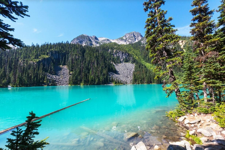 Squamish-Lillooet: Joffre Lakes Guided Hike Joffre Lakes Guided Hike