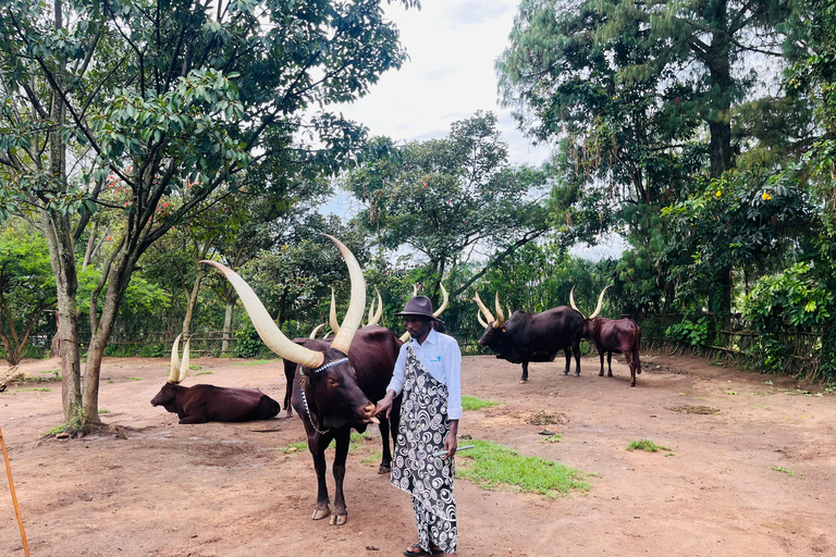 Kigali: Tour cultural por el palacio real, el museo y el memorial.Kigali: Visita cultural al palacio real, el museo y el memorial