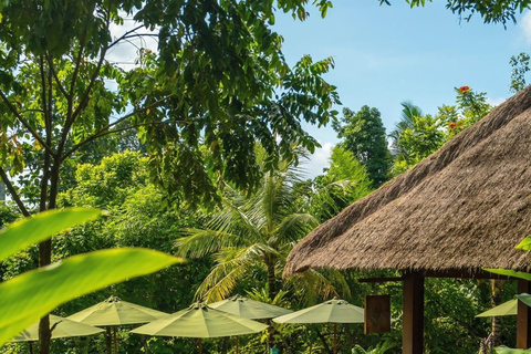 Ubud: Poolside Dining at Tropical Oasis Bar E‑Voucher Dining Voucher 350,000 IDR & Pool Accees Pass